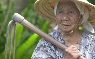 A hosszú élet titokzatos régiói, a Kék Zónák – 1. rész, Japán, Okinava