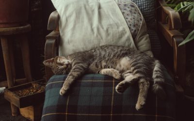 Hogyan aludj jobban éjszaka természetesen – tippek a jobb alvásért